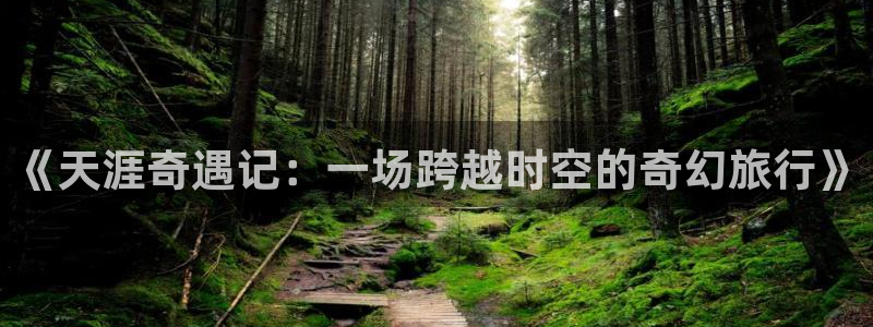 新宝gg官网登录：《天涯奇遇记：一场跨越时空的奇幻旅行》