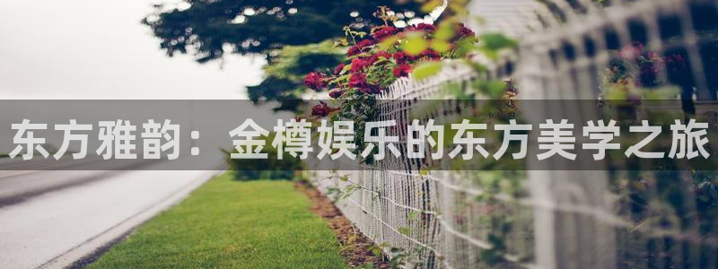 新宝gg一键登录：东方雅韵：金樽娱乐的东方美学之旅