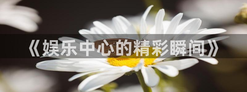 新宝gg平台：《娱乐中心的精彩瞬间》