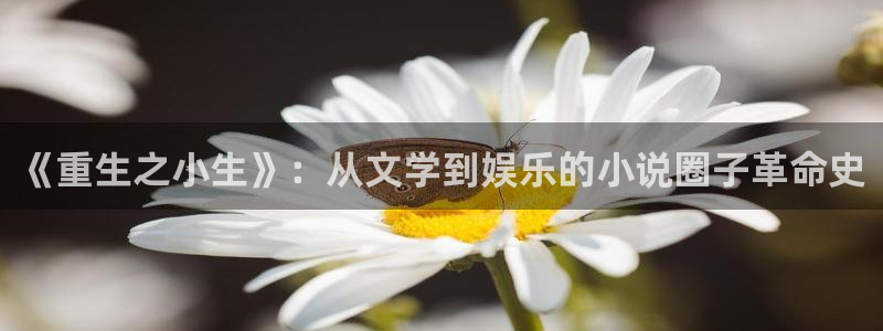 新宝gg官网登录：《重生之小生》：从文学到娱乐的小说圈子革命史