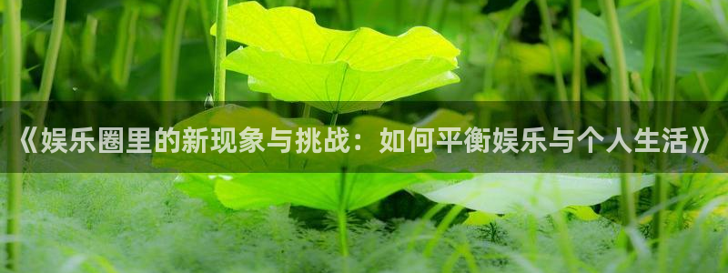 下载新宝5：《娱乐圈里的新现象与挑战：如何平衡娱乐与个人生活》