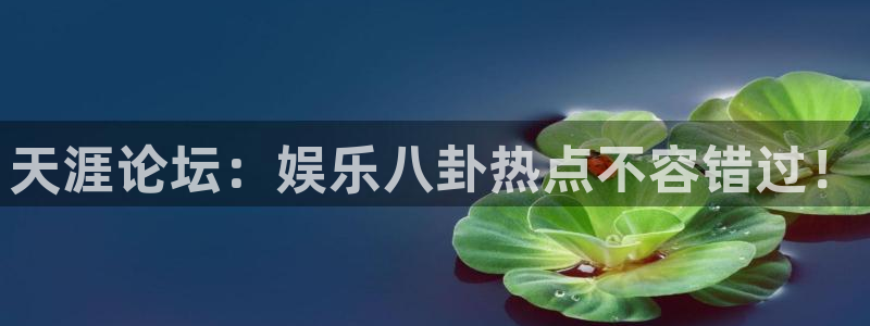 新宝5：天涯论坛：娱乐八卦热点不容错过！