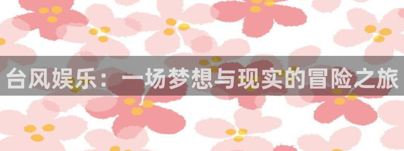 新宝gg：台风娱乐：一场梦想与现实的冒险之旅