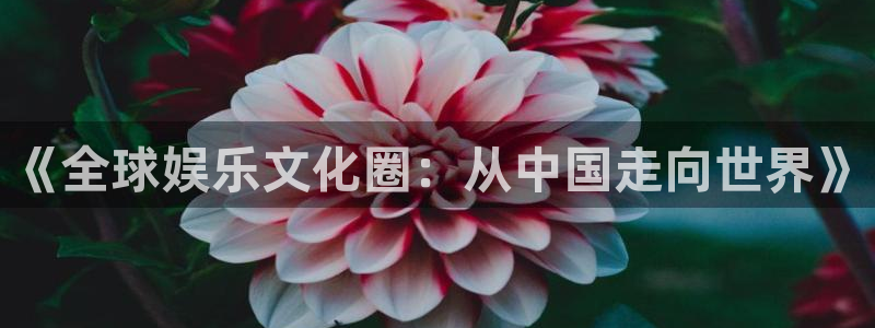 新宝gg平台：《全球娱乐文化圈：从中国走向世界》