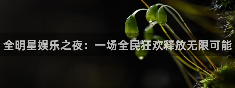 下载新宝5：全明星娱乐之夜：一场全民狂欢释放无限可能