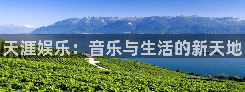 新宝gg官网登录