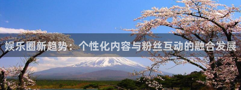 新宝gg在线注册：娱乐圈新趋势：个性化内容与粉丝互动的融合发展