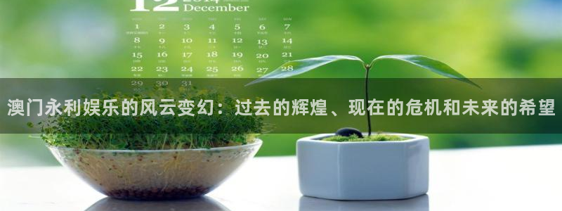 新宝gg网址：澳门永利娱乐的风云变幻：过去的辉煌、现在的危机和未来的希望