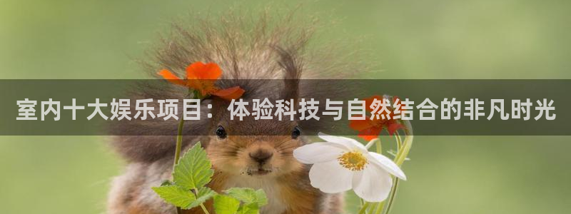 新宝gg官网登录：室内十大娱乐项目：体验科技与自然结合的非凡时光